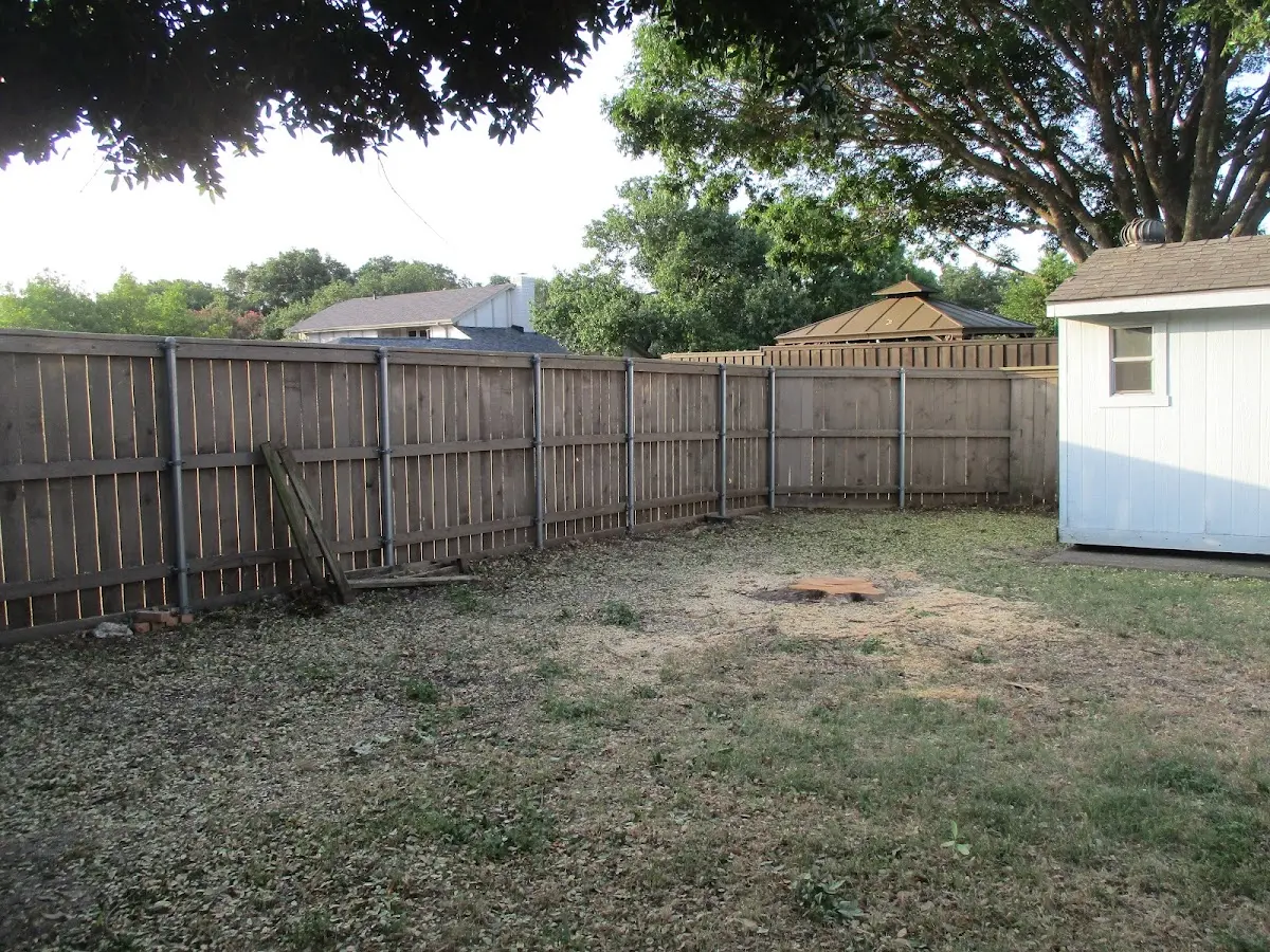 Cleared yard after professional tree removal in Lake Waccamaw